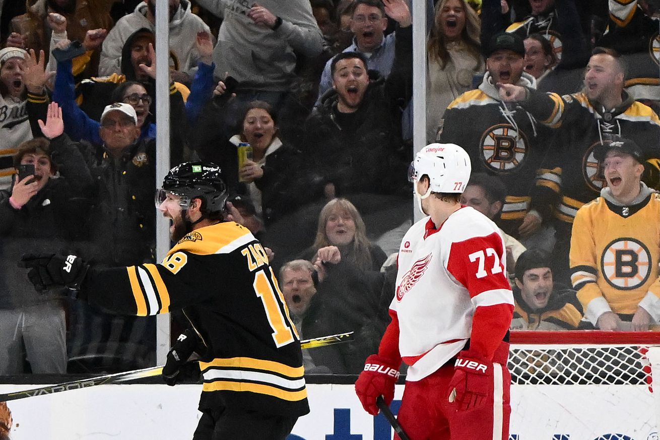 NHL: Detroit Red Wings at Boston Bruins