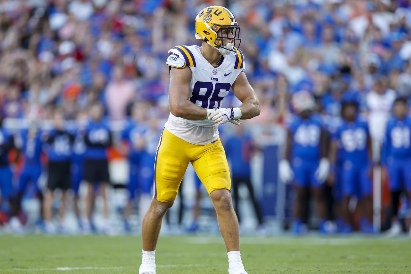 COLLEGE FOOTBALL: NOV 16 LSU at Florida