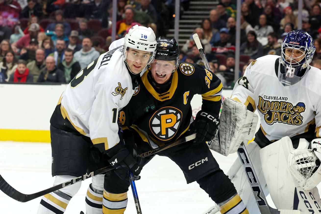 AHL: FEB 01 Providence Bruins at Cleveland Monsters