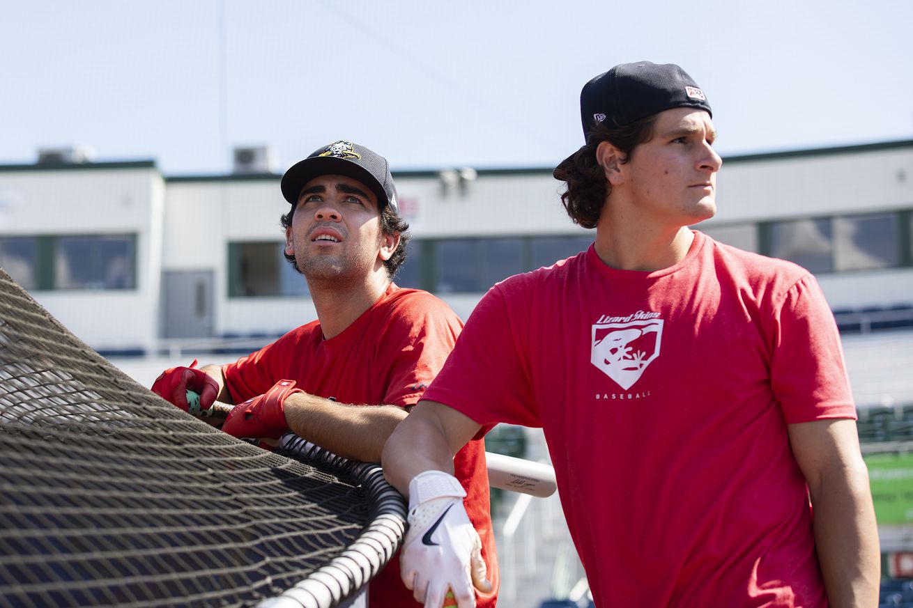 Sea dogs feature