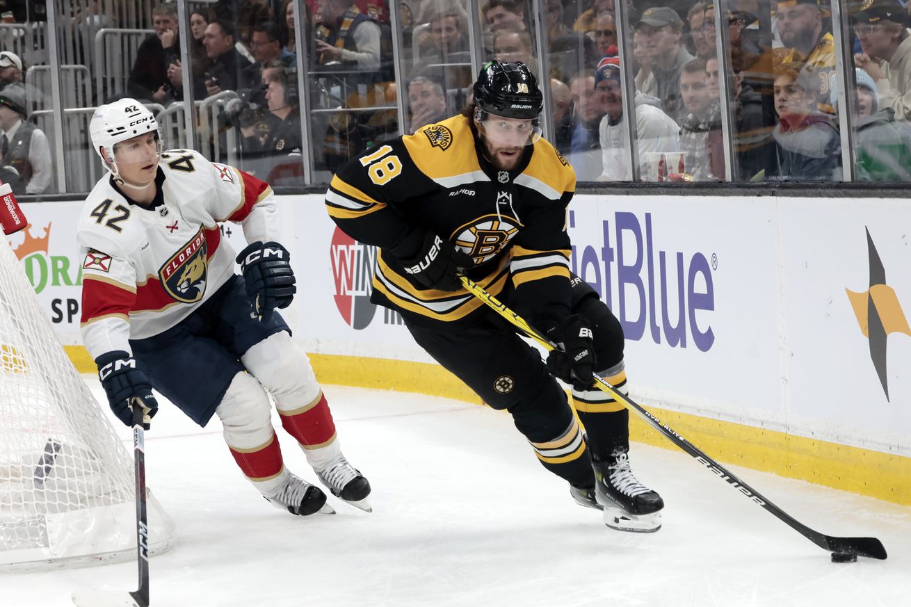 NHL: MAR 11 Panthers at Bruins