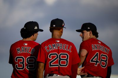 2025 MLB Spring Breakout