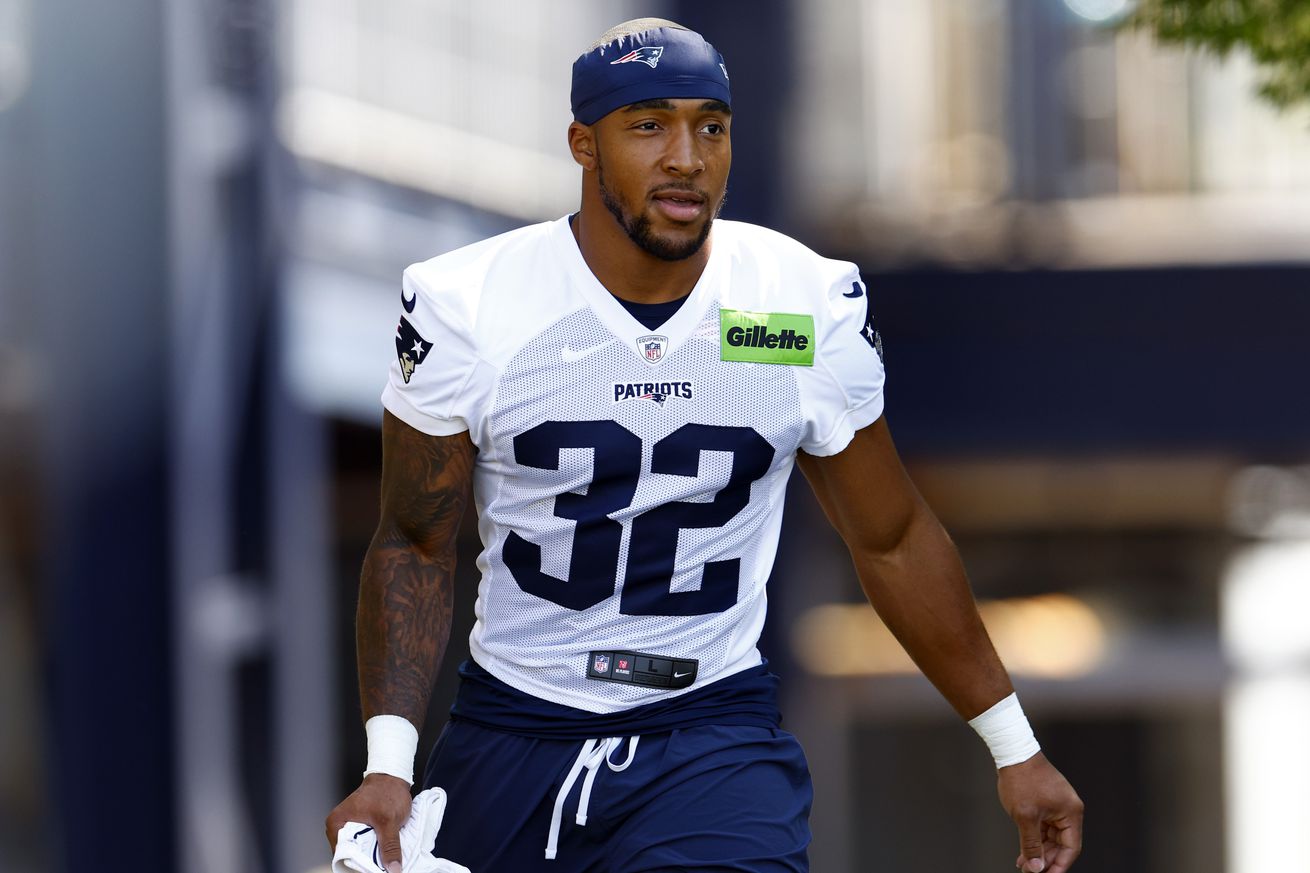 Patriots training camp, Day 2: Paw-ty’s over