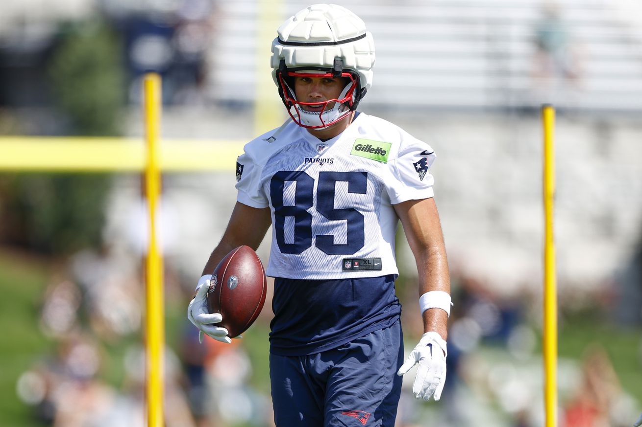 Patriots training camp, Day 2: Paw-ty’s over