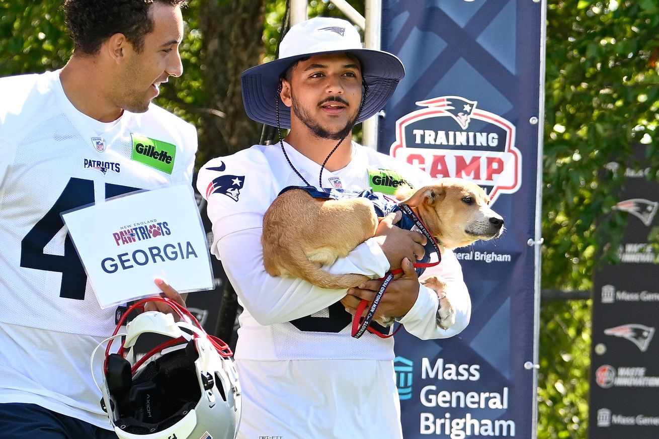 NFL: New England Patriots Training Camp